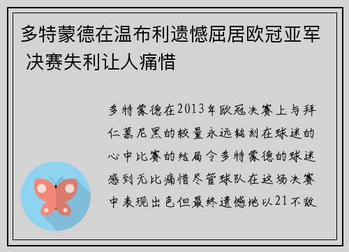 多特蒙德在温布利遗憾屈居欧冠亚军 决赛失利让人痛惜